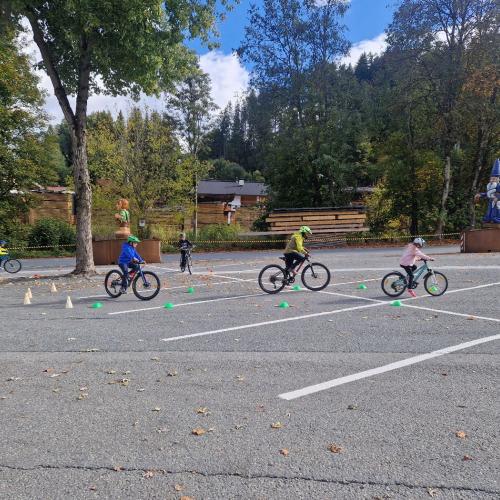 Pro Pedal 3ab