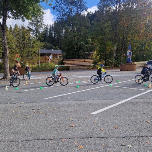 Pro Pedal 3ab