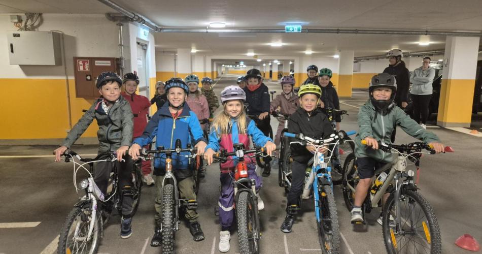 Pro Pedal 2ab